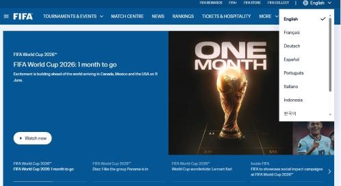 FIFA website's lack of Chinese option draws criticism from Chinese netizens