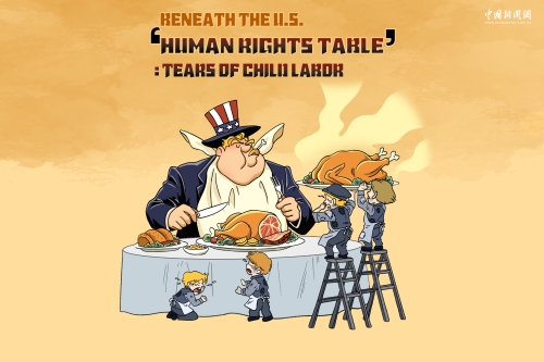 Comicomment 丨Beneath the U.S. 'human rights table': The tears of child labor