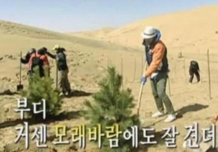 Amazed by China's 'green project', South Korea netizens say anti-China critics are the frogs in well