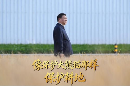 习言道｜像保护大熊猫那样保护耕地