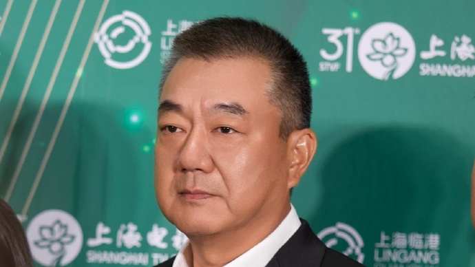 董勇《繁花》的遗憾在《太平年》补上了