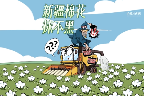 棉花自清白，谎言终自黑 | 新漫评