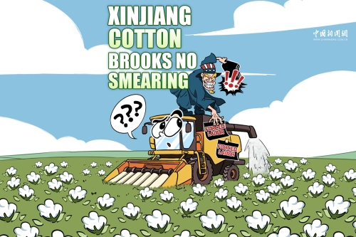 Comicomment: Xinjiang cotton brooks no smearing