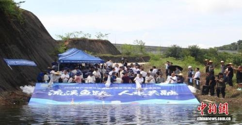 Stocking program boosts fish population in Guangzhou's LiuXi River