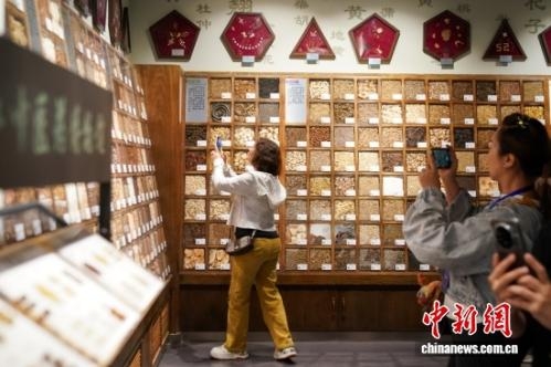 Guangxi targets ASEAN hub for traditional Chinese medicine services