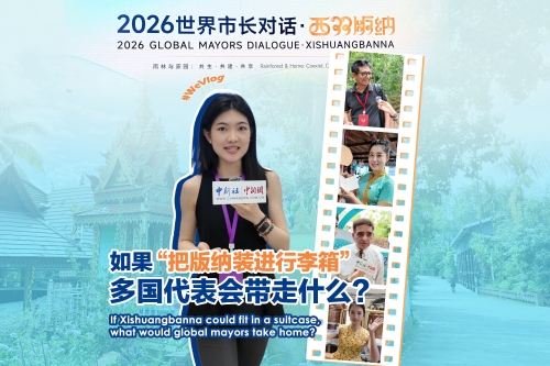 如果“把版纳装进行李箱”，多国代表会带走什么？