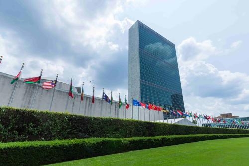 Chinese envoy calls for global cooperation on natural resource governance