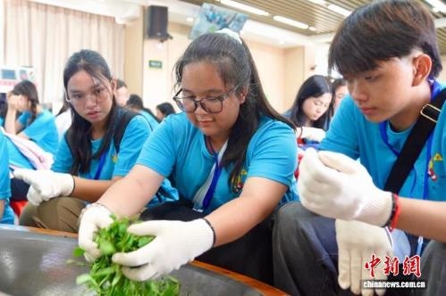 Overseas Chinese youth from 12 countries experience tea culture in Hainan