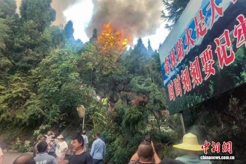 Forest fire in Sichuan under control, no casualties reported