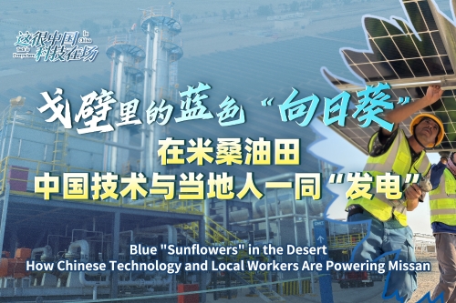 这很中国·科技在场丨戈壁里的蓝色“向日葵”：在米桑油田，中国技术与当地人一同“发电”