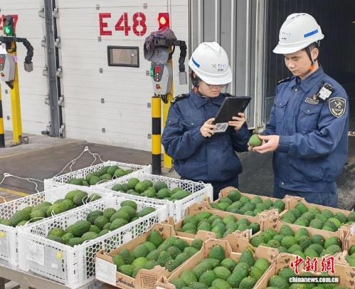 China's zero-tariff policy for 53 African nations yields $106.6 million in tariff savings at Guangzhou Customs