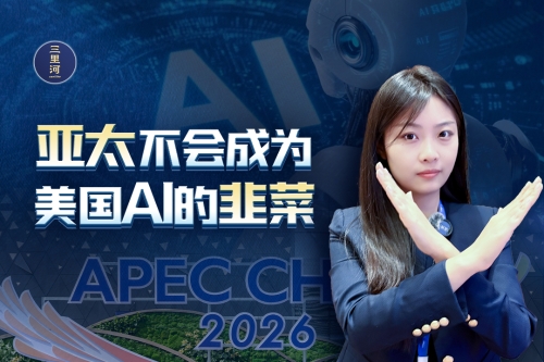 亚太不会成为美国AI的韭菜