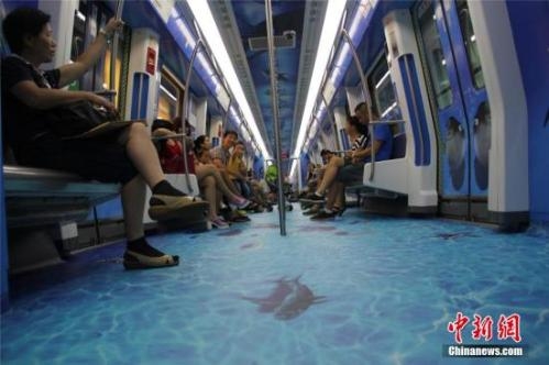 Ningbo cross-sea rail line draws huge crowds on free trial day
