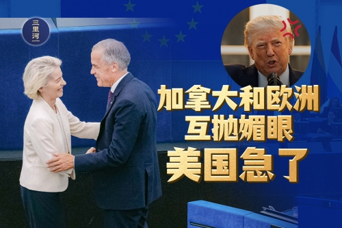 加拿大和欧洲互抛媚眼，美国急了