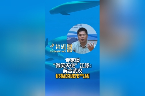 Hydrobiological expert: Finless porpoise and Wuhan's upbeat city spirit are perfect match 