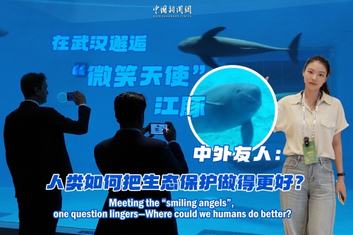 Meeting 'smiling angels', we ask: How could humans do better?
