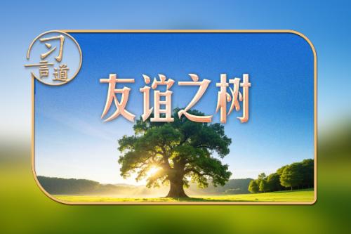 习言道｜在白宫，习近平提到了一棵树和一片林