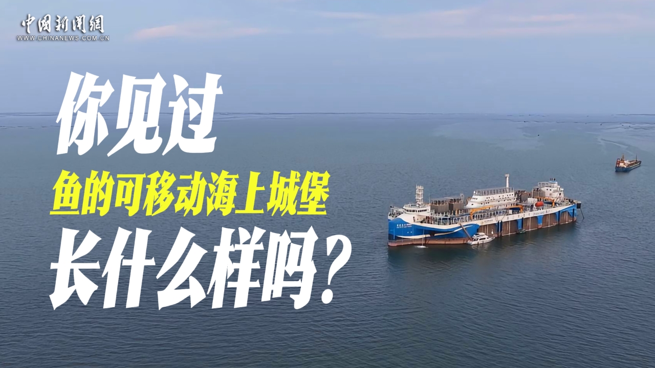 你见过鱼的可移动海上城堡长什么样吗？