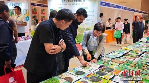 Tianjin seed expo draws nearly 1,000 companies, 10,000-plus varieties