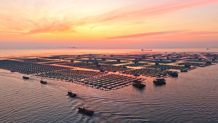 山东烟台：海洋牧场冬耕忙