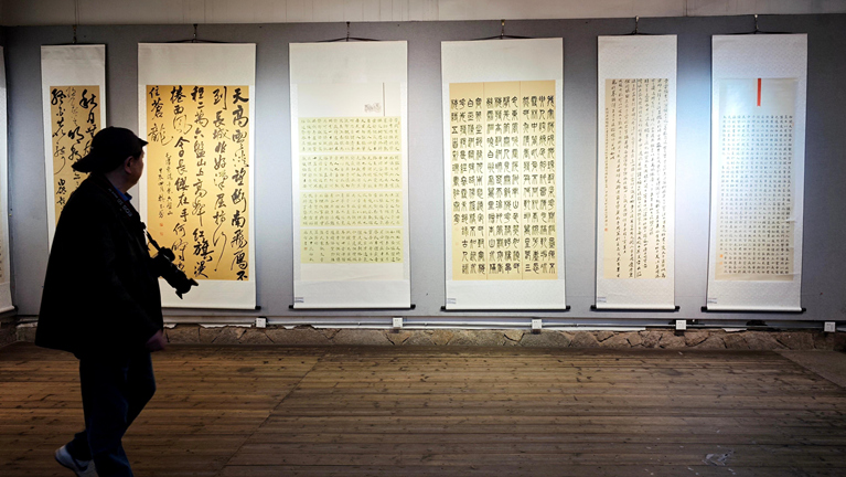 福州：闽台中小学教师书法作品展吸引参观者