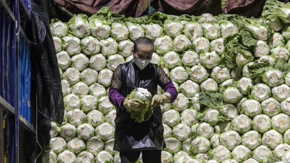 冬天劝你多吃白菜 防癌、通便、抗衰老