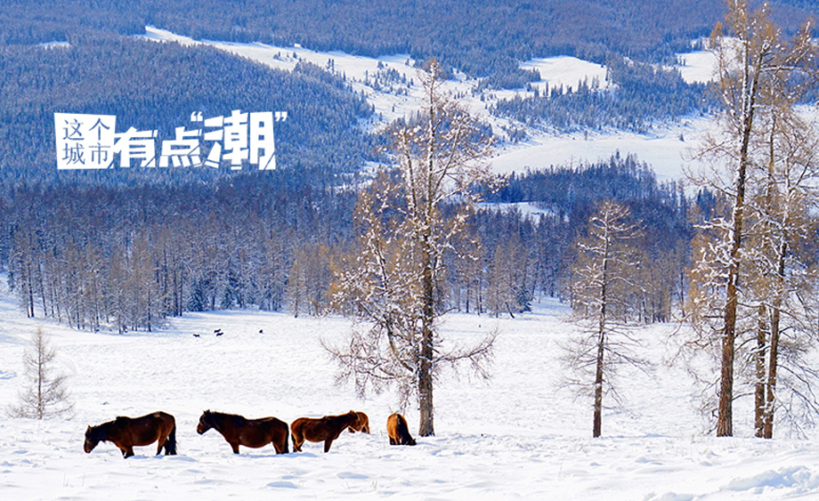 阿勒泰：穿越北疆之北 在冰天雪地里解锁“冬日童话”