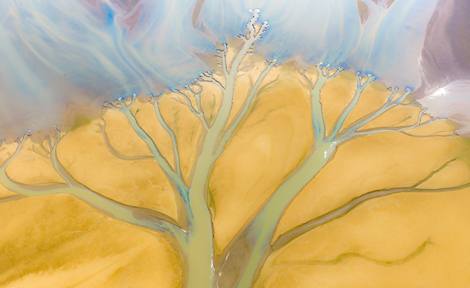 江西进贤：鄱阳湖滩涂现“大地之树”景观