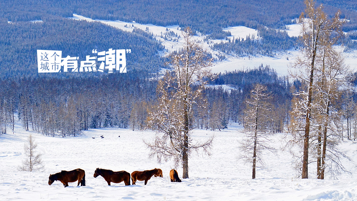 【这个城市有点潮】阿勒泰：穿越北疆之北 在冰天雪地里解锁“冬日童话”