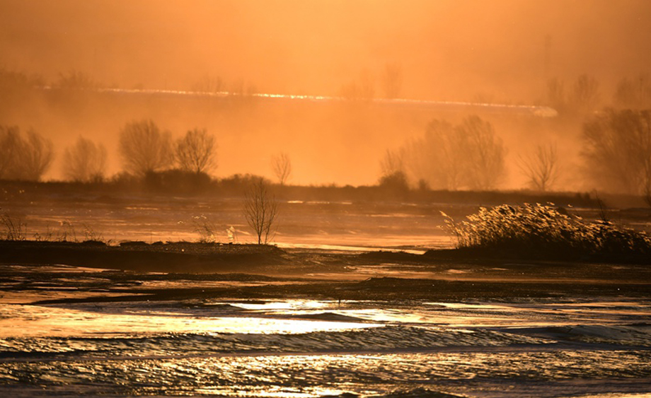 河北怀来：洋河湿地风景如画