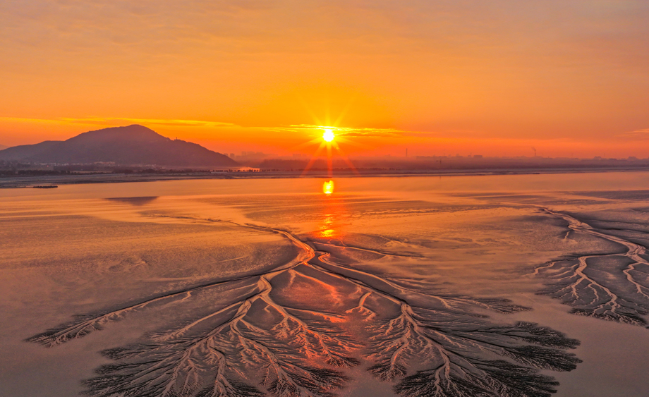 浙江海宁：霞光映潮树 天光落钱塘