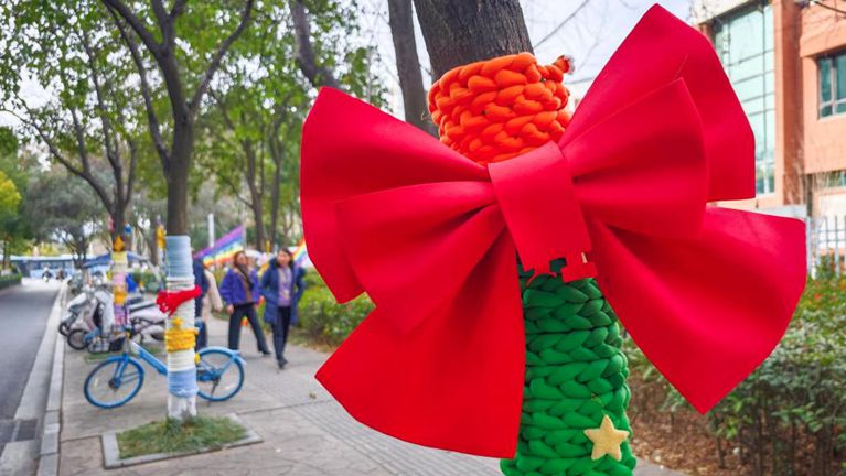 南京街头行道树“穿”上毛衣扮靓城市