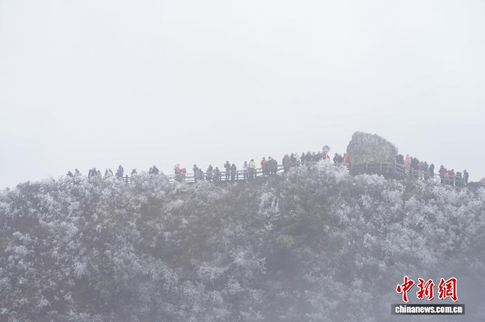 广西南宁大明山现冰凌雾凇 民众感受冰雪之乐