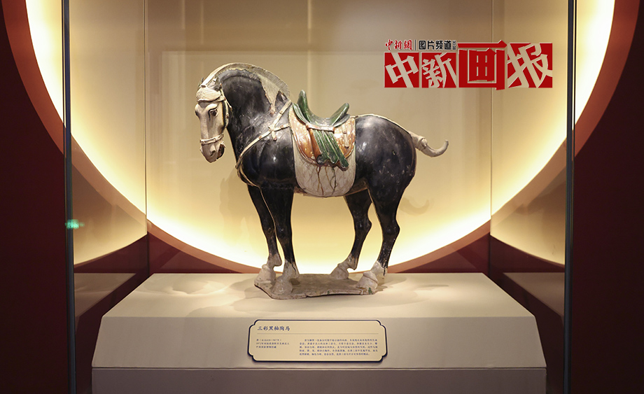 【熱氣騰騰中國(guó)年】博物館“騏”遇記