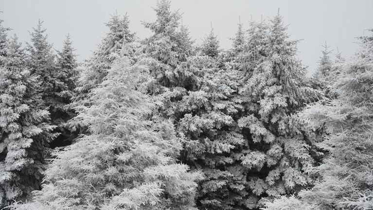 河北祖山：飞雪迎春