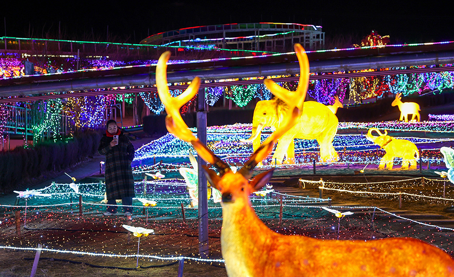 青海大通：新春灯会助力乡村旅游热