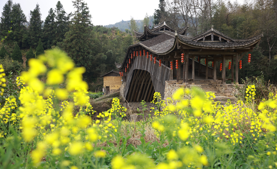 浙江泰顺：探访廊桥之乡 品古建之美