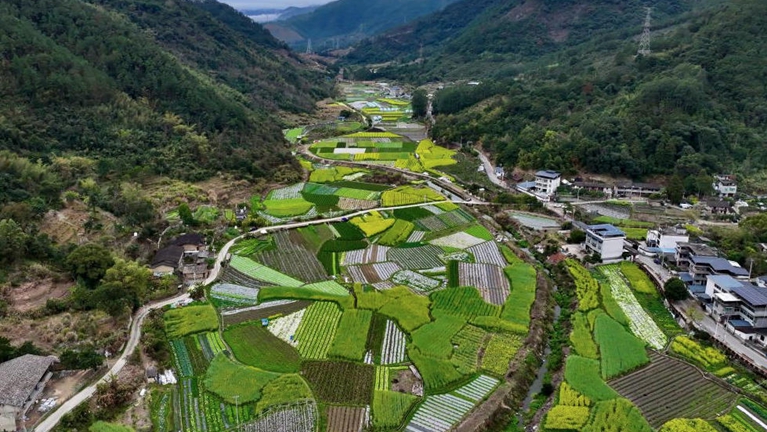 惊蛰时节 福州郊区春色美
