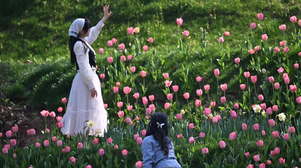 江南春日 浙江杭州唯美花境醉游人