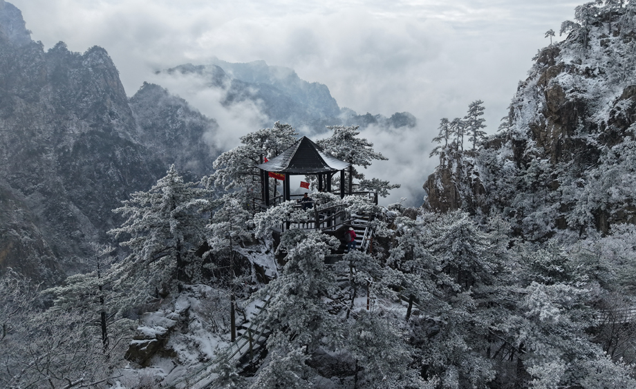 河南老界嶺：春雪云海齊上線