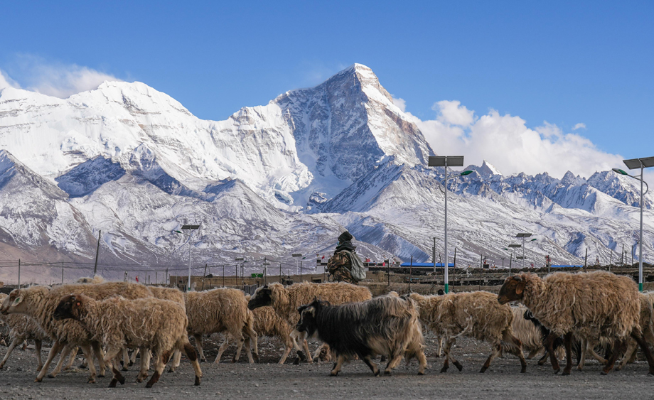 西藏亞?wèn)|：卓木拉日雪山春日風(fēng)光美如畫(huà)