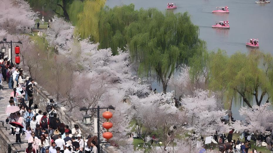 應(yīng)對(duì)春季花粉過(guò)敏 中西醫(yī)協(xié)同防治方案來(lái)了