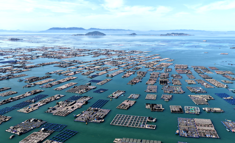 福建連江：海上春耕忙 牧漁繪新景