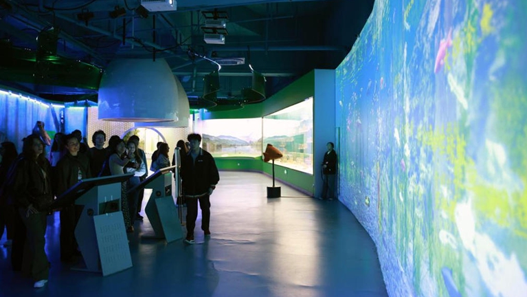 留学生探访“青田稻鱼共生系统” 近距离感受千年农耕智慧