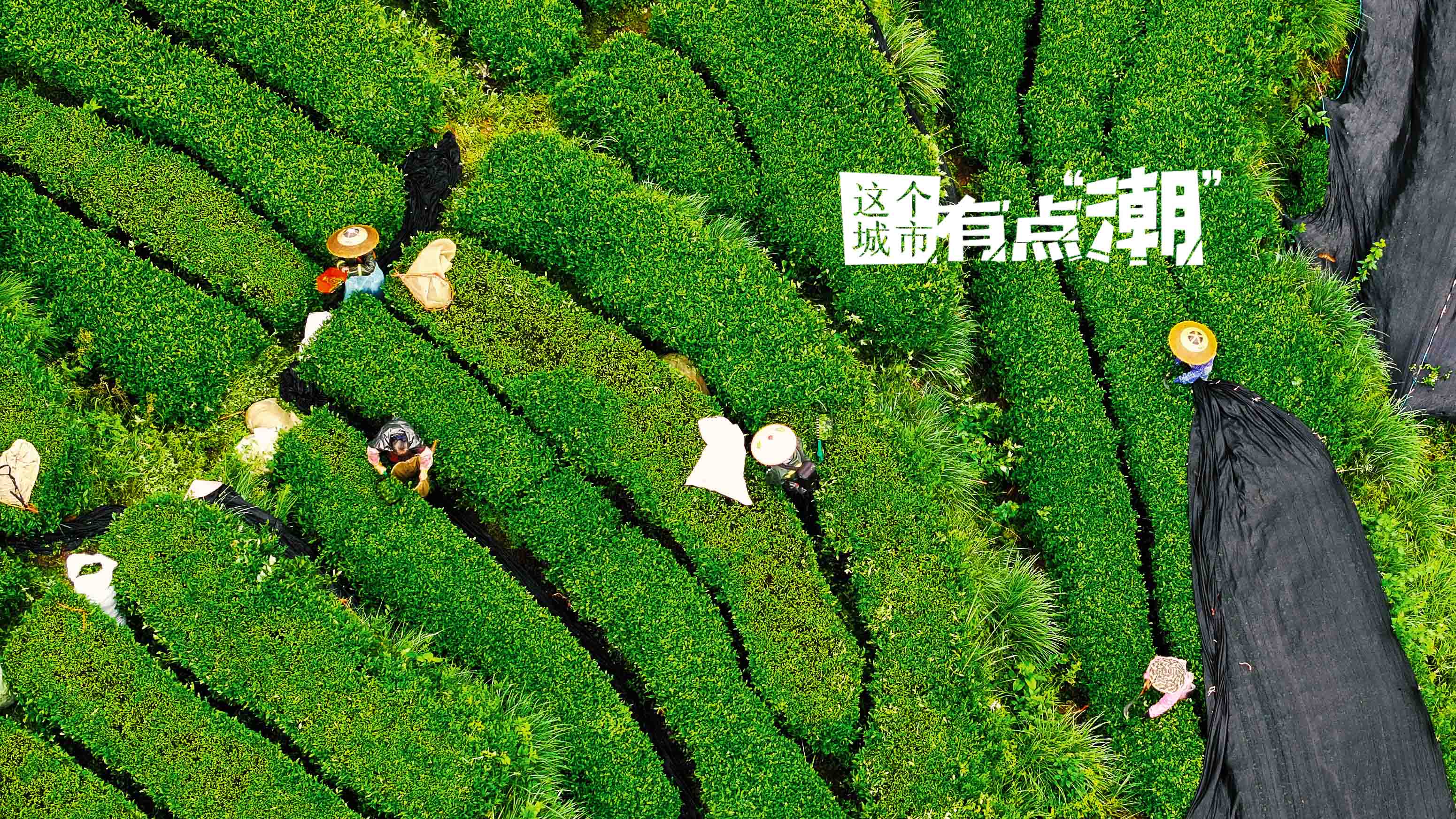 【這個城市有點(diǎn)潮】銅仁：一抹貴州青綠，藏著萬物皆可“抹”的浪漫想象