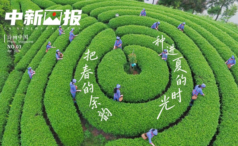 【诗画中国】把春的余韵，种进夏的时光