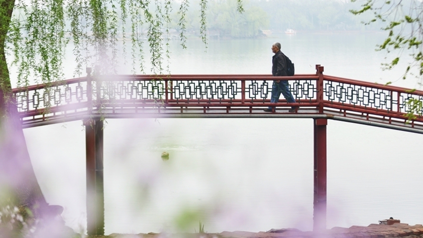 春日踏青好時節 過敏人群外出如何不“心煩”？