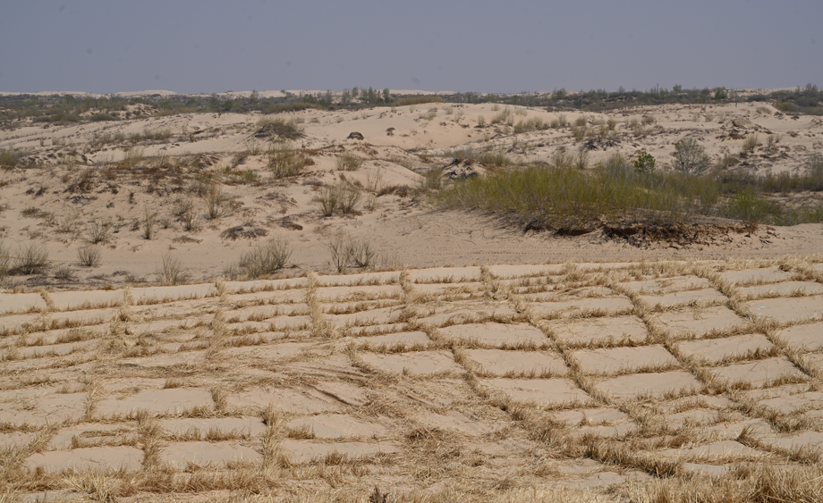 科爾沁沙地核心區(qū)：人工鋪設(shè)草方格固沙