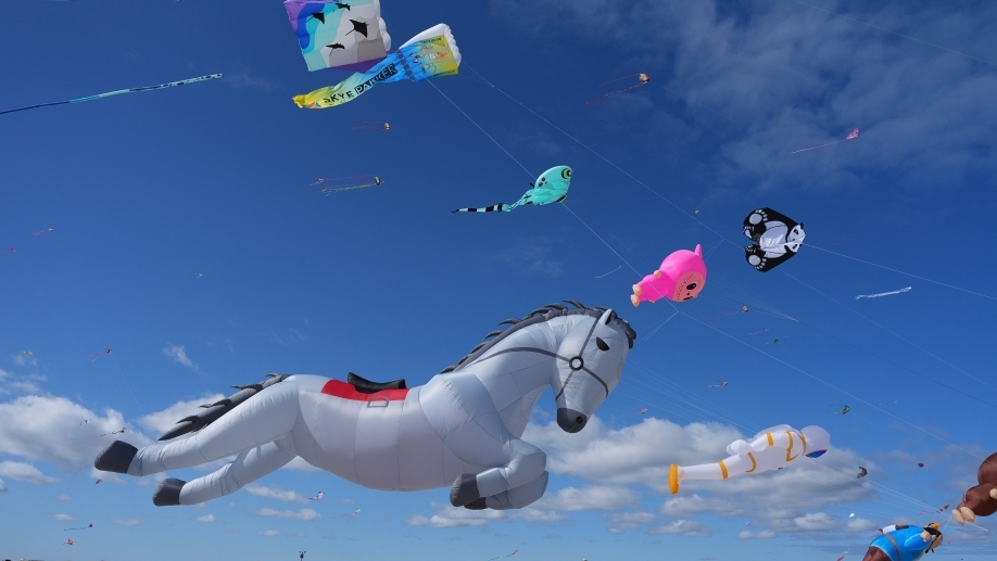 美国纽约举行风筝节 中国卡通形象浮动蓝天