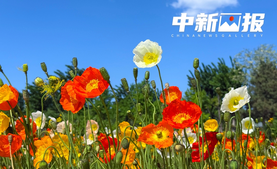 【中新画报】五一美景已就位 这组假日“邀请函”静待查收